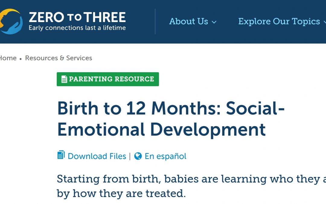 Social Emotional Development Birth to 12 Months