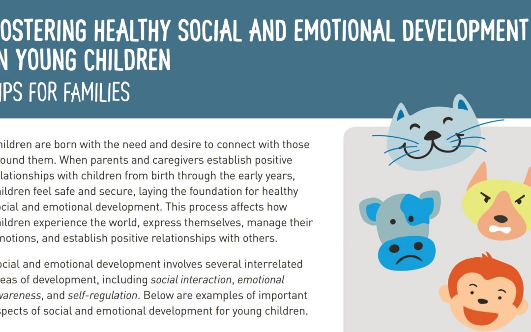 Fostering Healthy Social and Emotional Development in Young Children