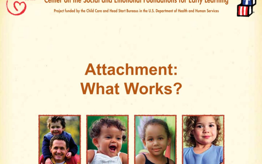 What Works Brief #24 – Attachment: What Works?