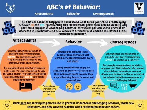 Barton Lab: ABC's Of Behavior Observation Cards - PRISM